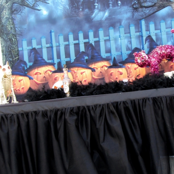 New tulle tutu table skirt for party many colors custom made 72" 2 yards 🎃👻 - Picture 4 of 13